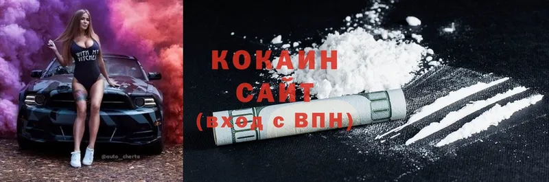 MEGA как войти  Галич  Cocaine FishScale 